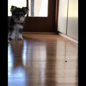 Meet your Posher, Sheila